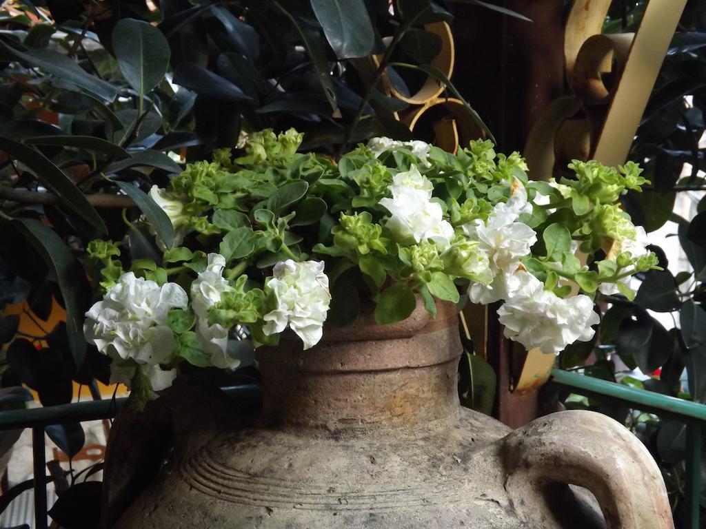 Albergo Diffuso Borgo Santa Caterina "Vintage" Castiglione De Sicilia Luaran gambar