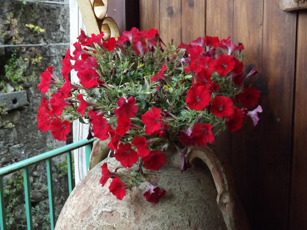 Albergo Diffuso Borgo Santa Caterina "Vintage" Castiglione De Sicilia Luaran gambar